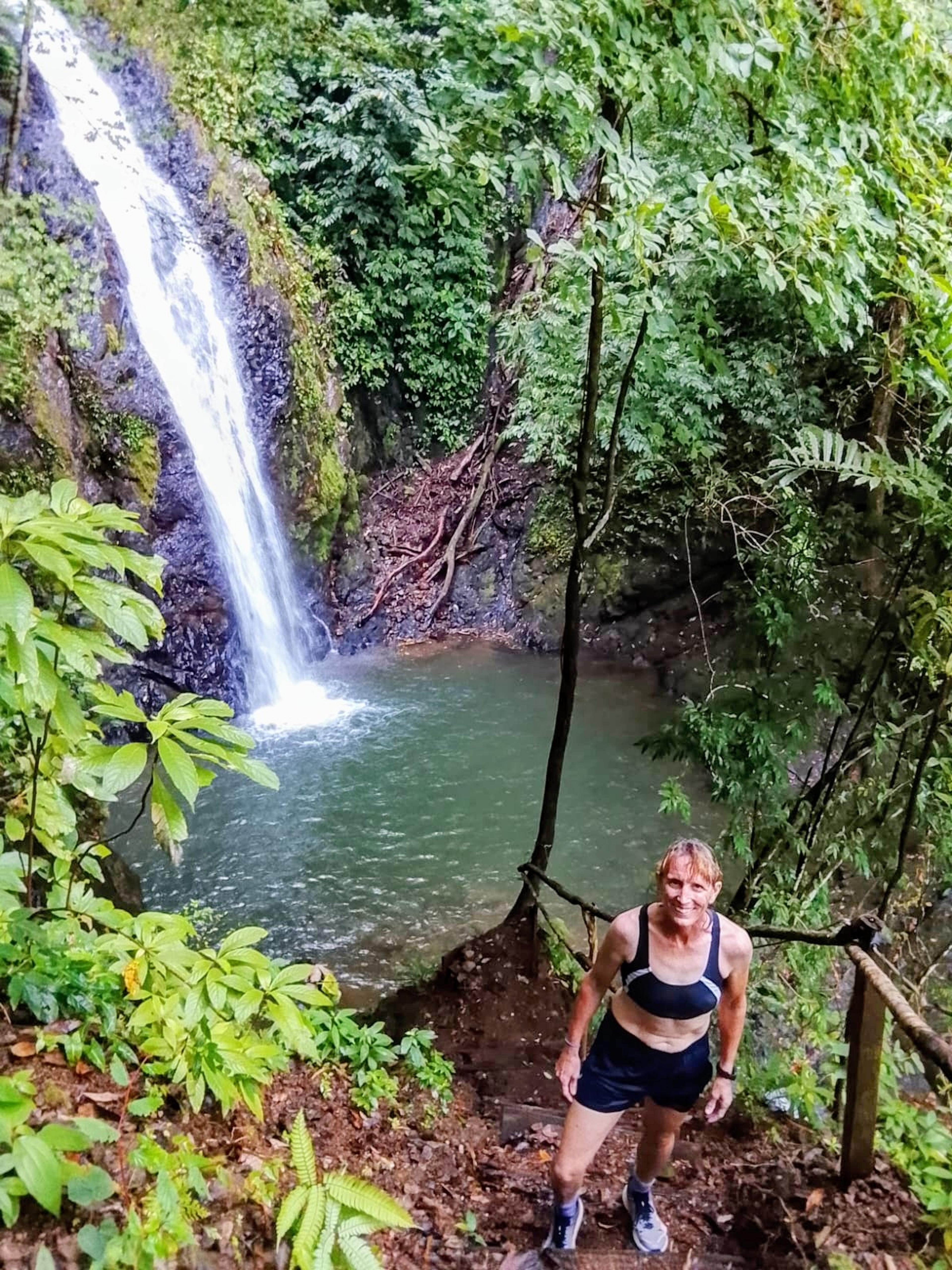 Seventh Heaven: Jungle & Sea
