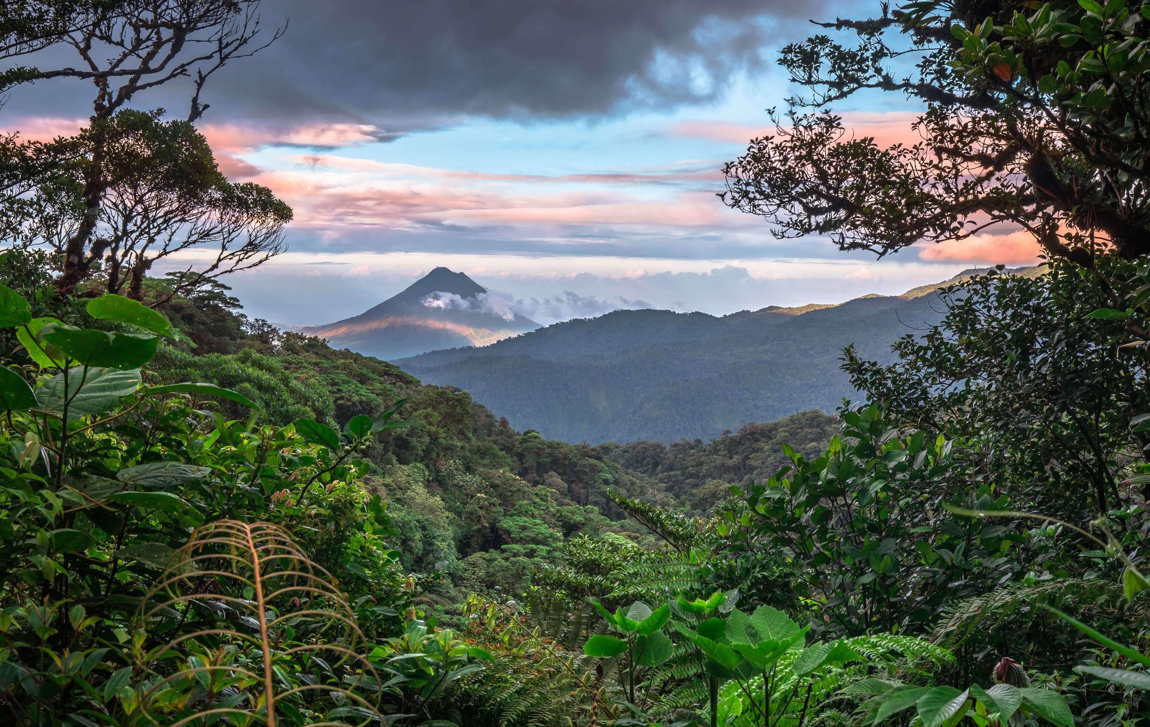 Cloud forest view in Monteverde, Costa Rica