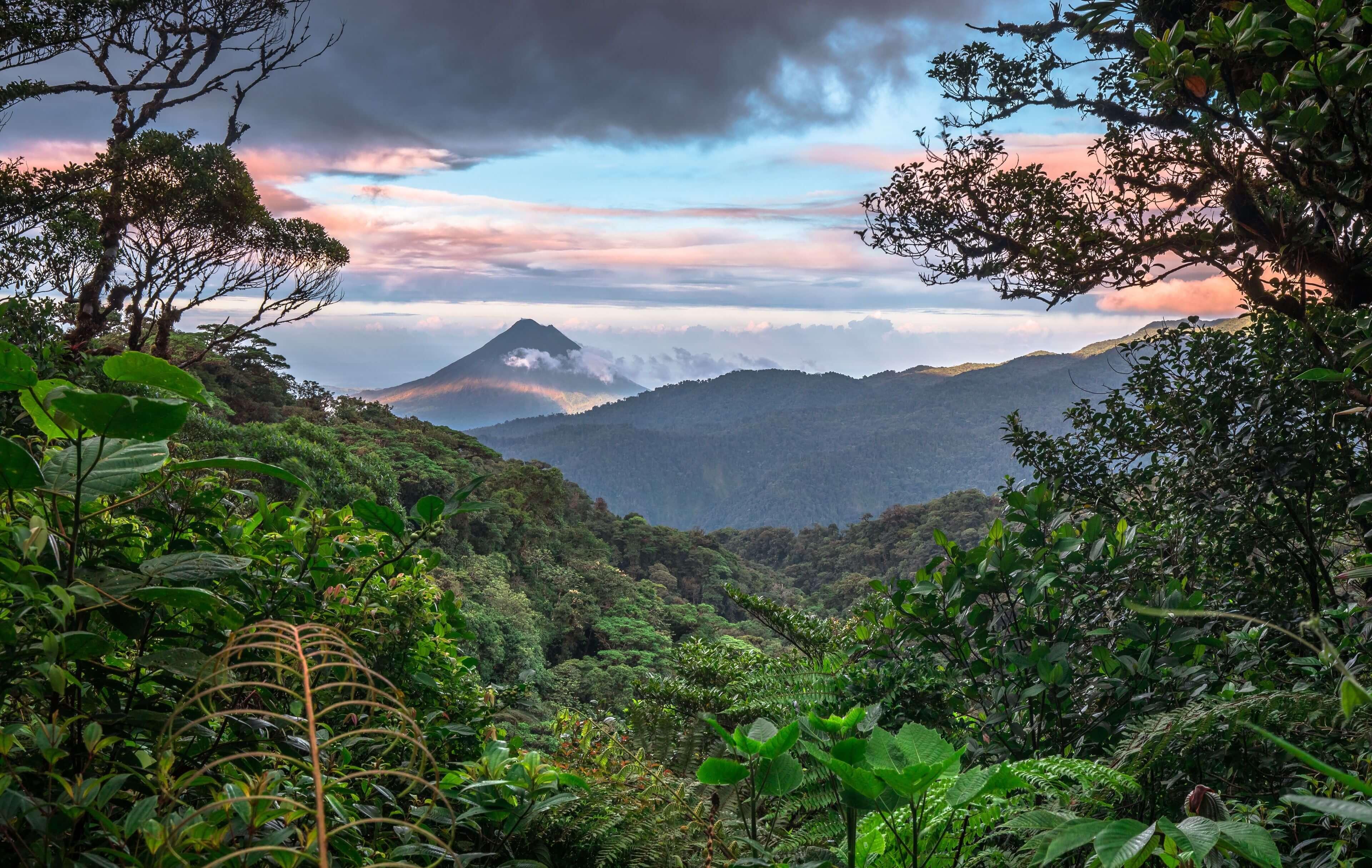 Cloud forest view in Monteverde, Costa Rica