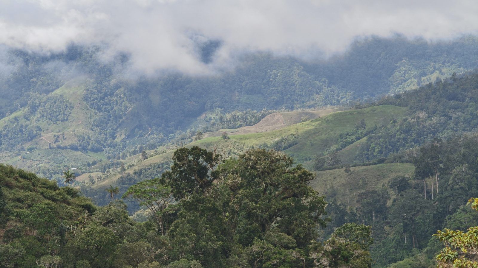 48.49-Acre Property with River & Mountain Views