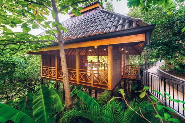 Yoga classes at Bodhi Tree Yoga Resort