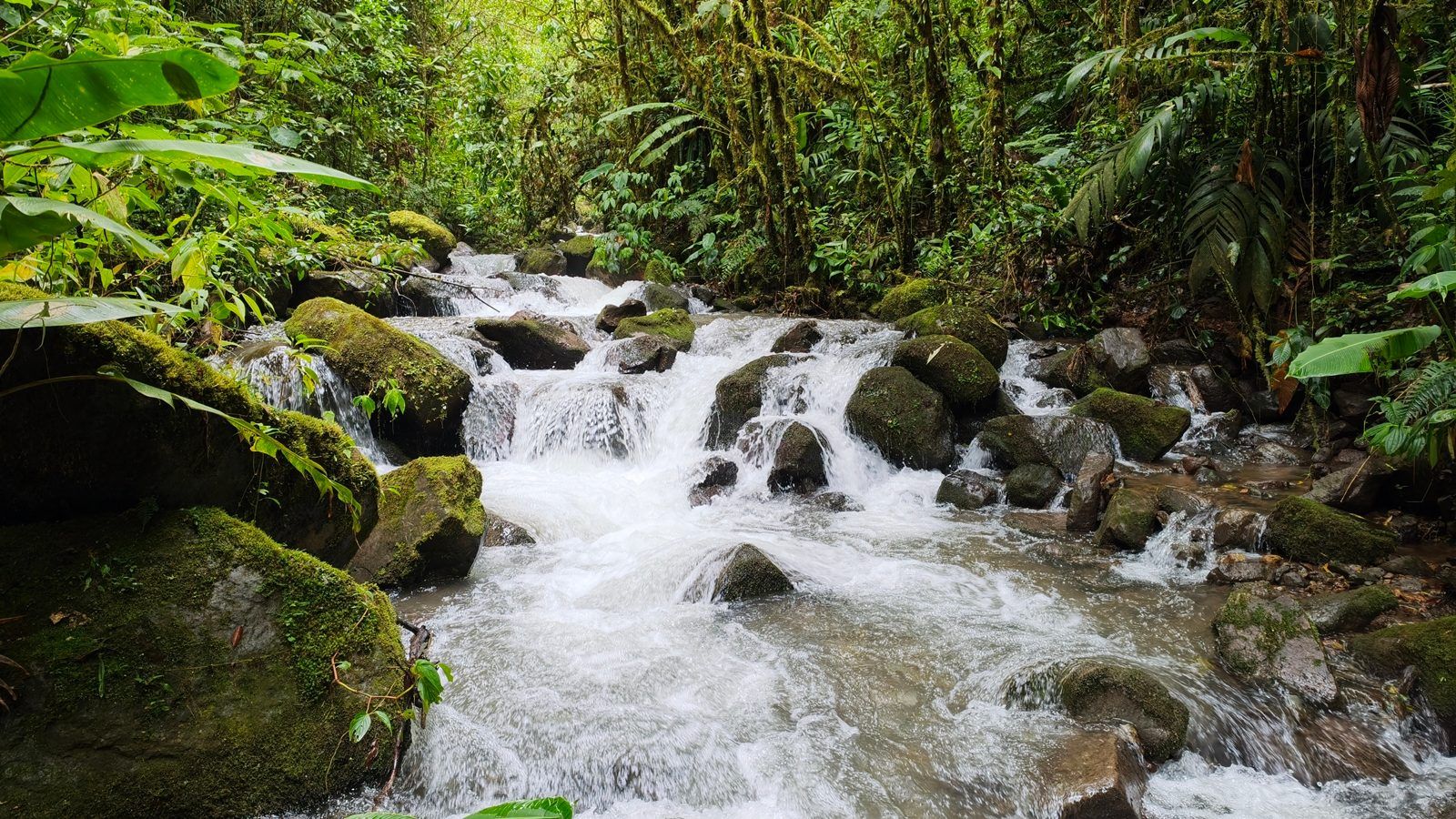 48.49-Acre Property with River & Mountain Views