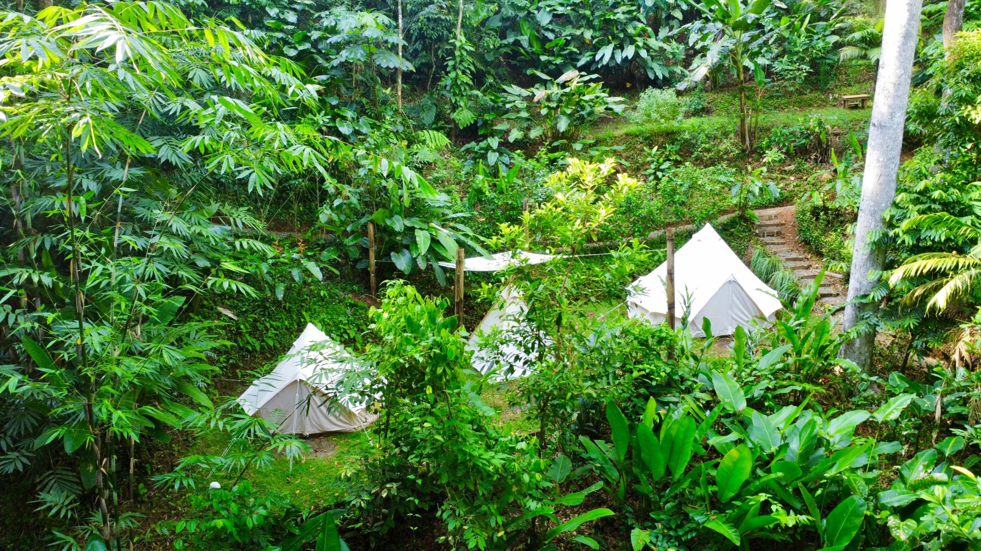 Turnkey Jungle Retreat Center with Private House