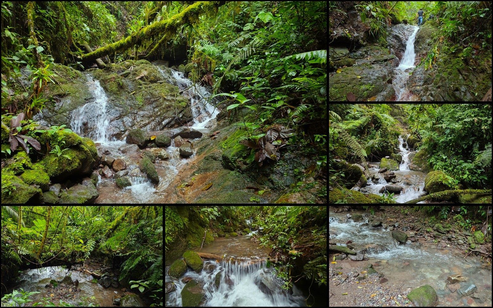 48.49-Acre Property with River & Mountain Views