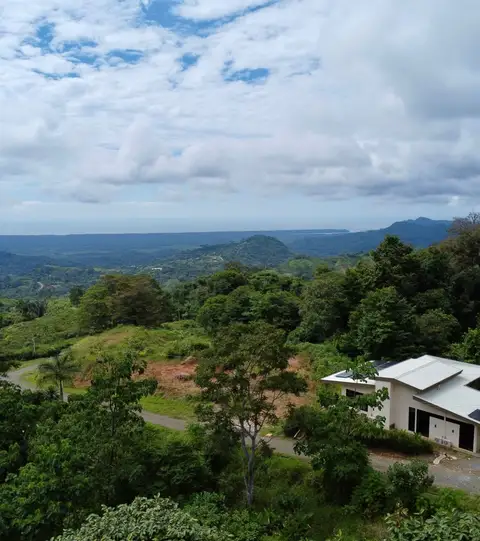 Casa Cantos de Loro - Chontale