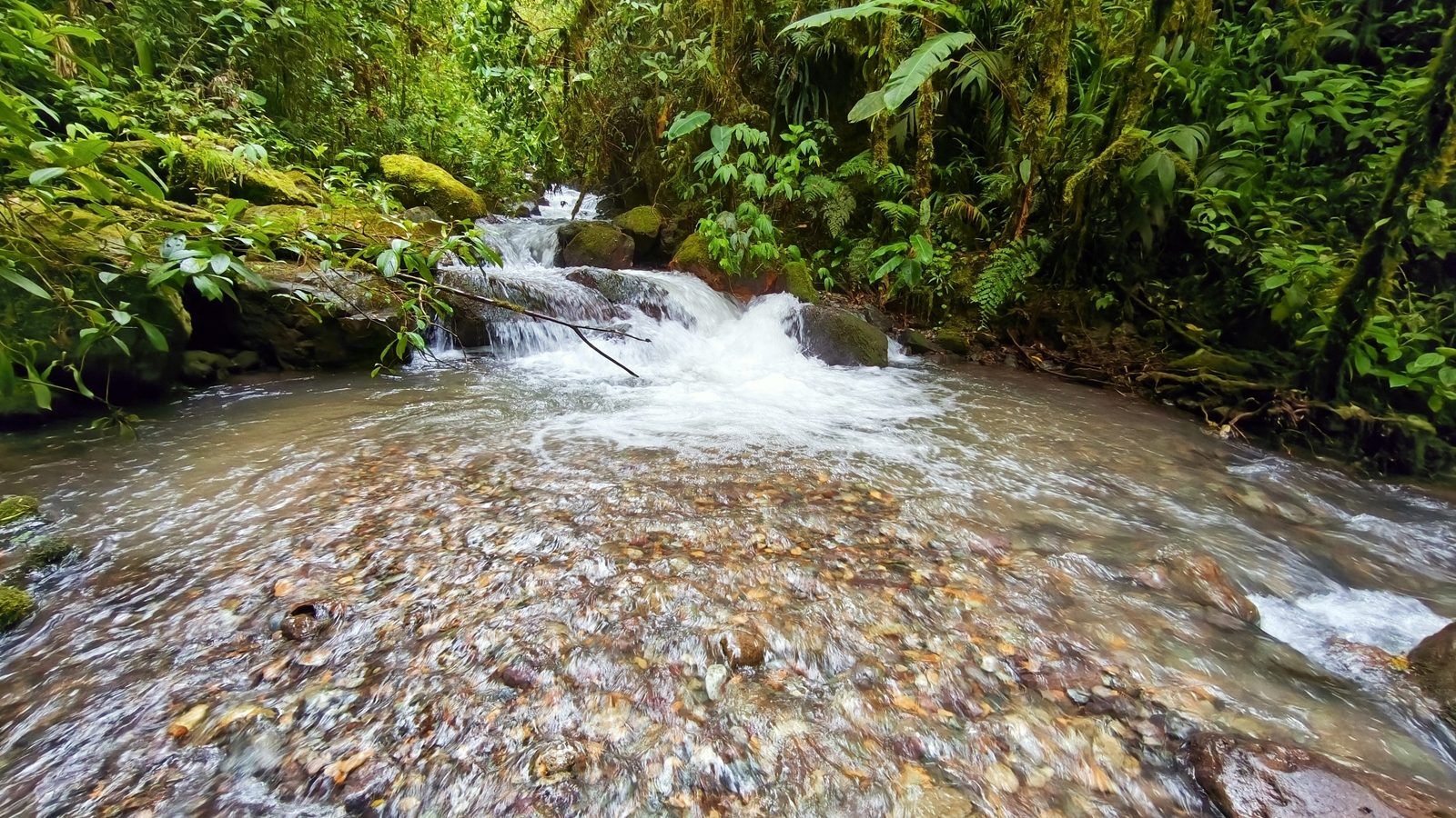 48.49-Acre Property with River & Mountain Views