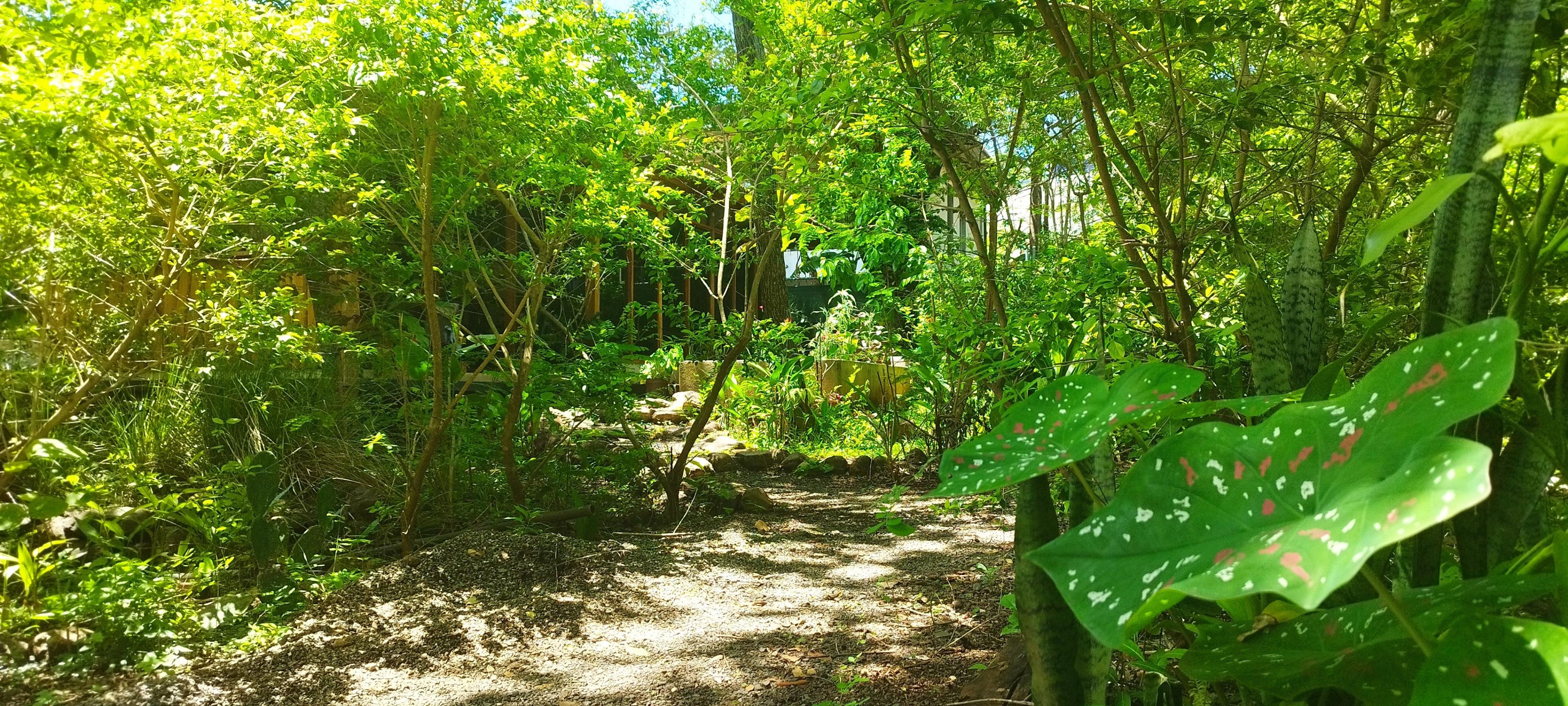 Casa Laurel