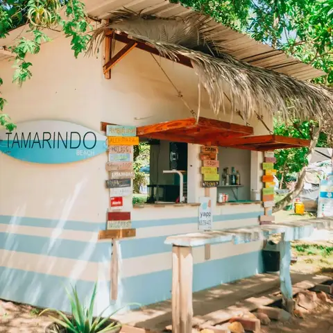 Expat Life in Tamarindo: What to Expect in This Beach Town