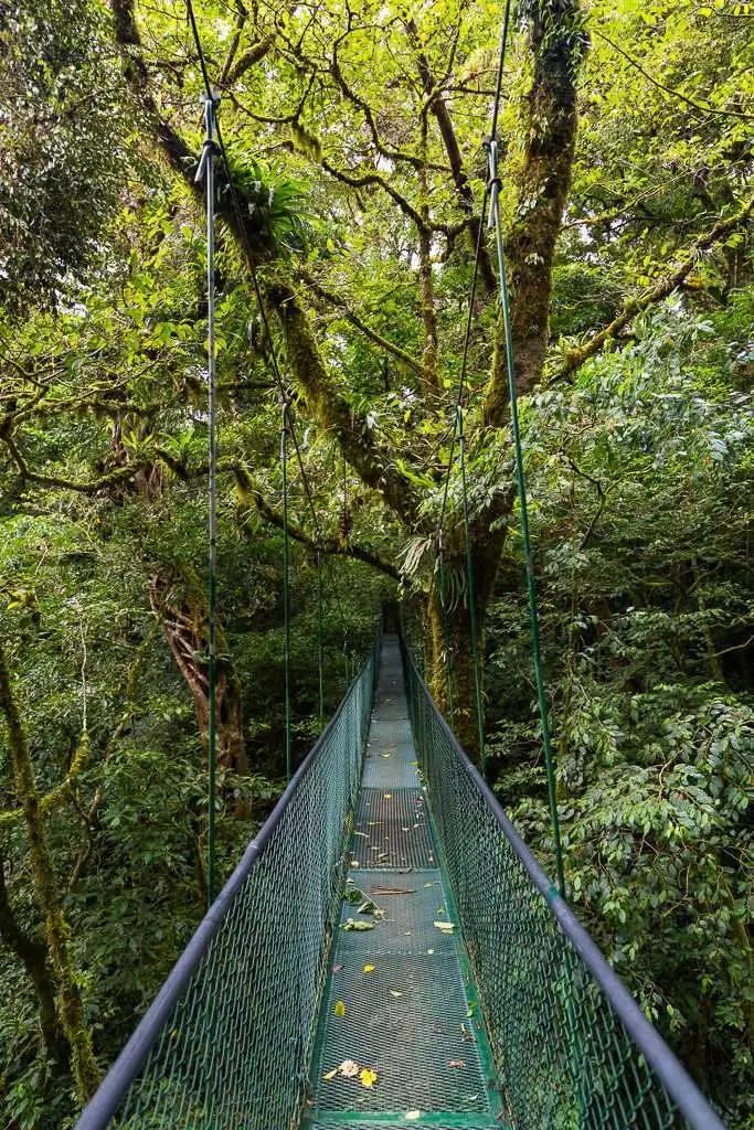 Santa Elena Cloud Forest Reserve