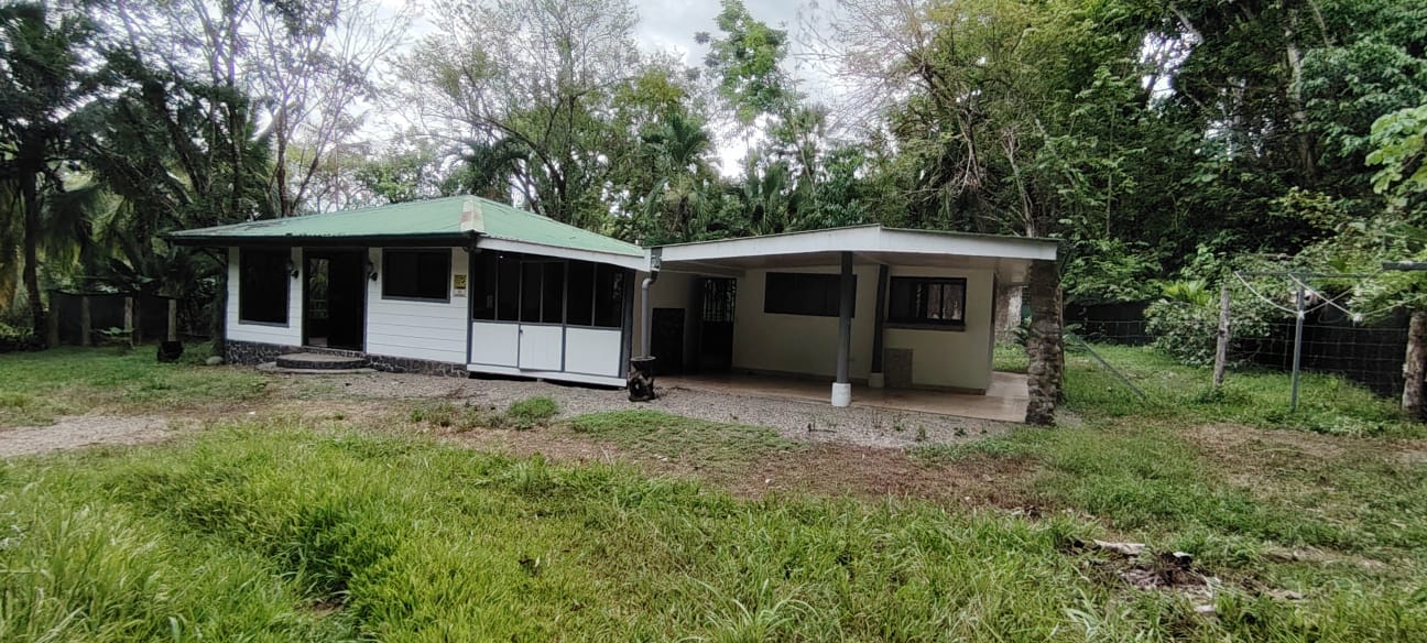 Casa Matapalo
