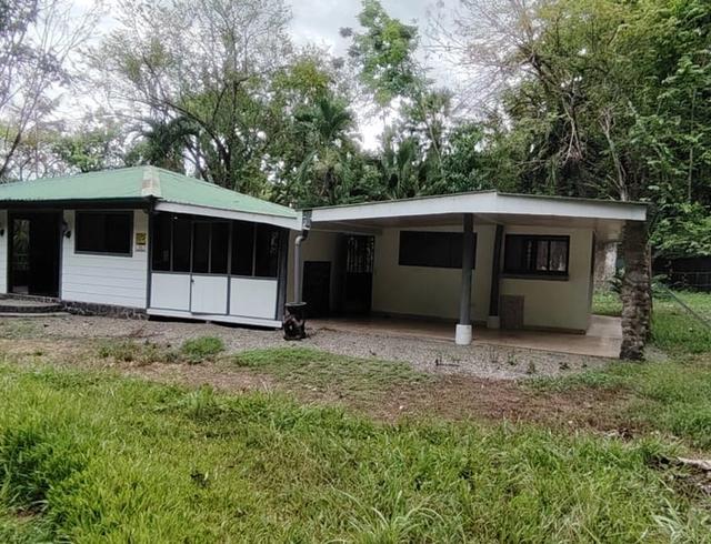 Casa Matapalo