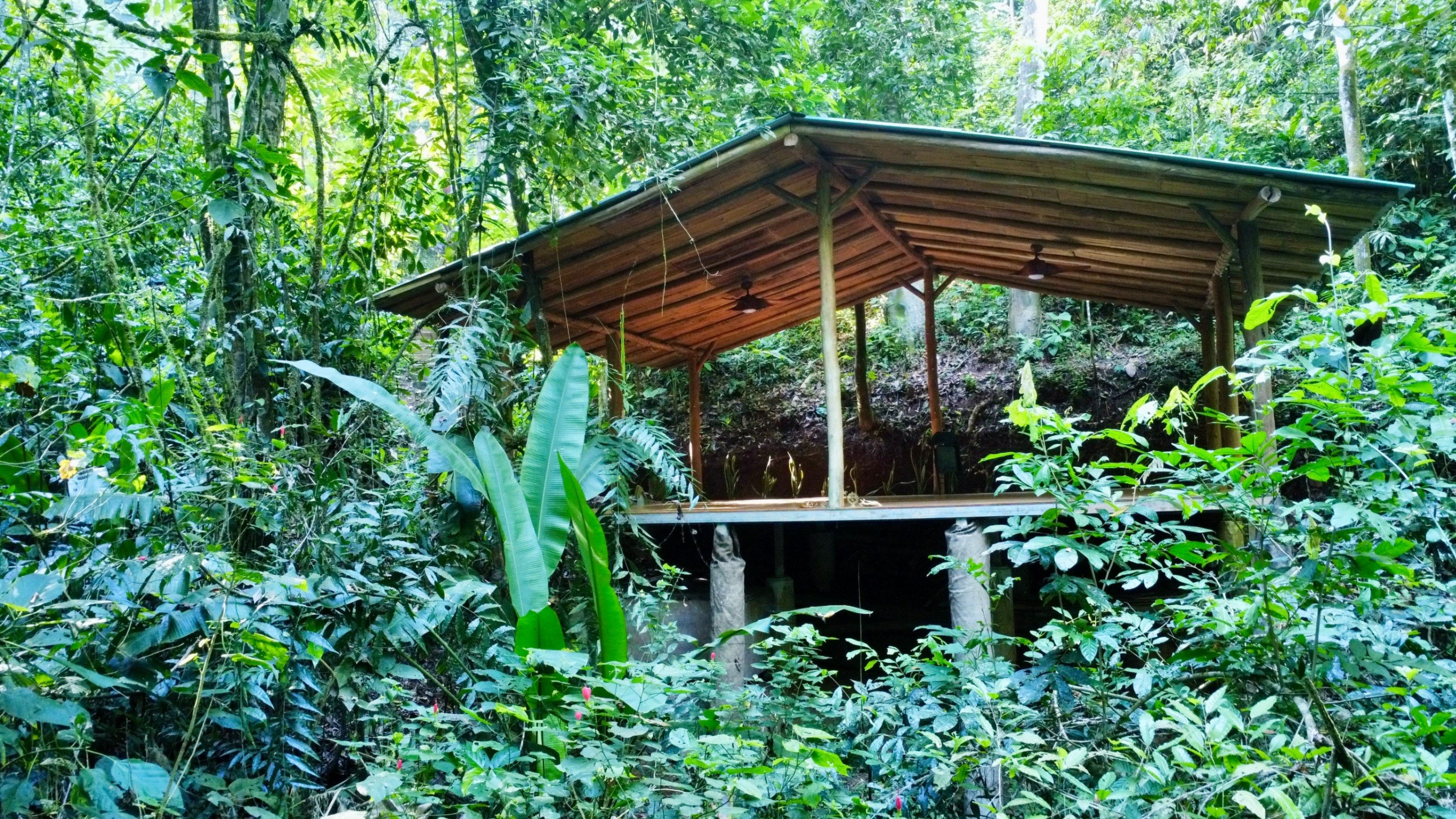 Turnkey Jungle Retreat Center with Private House