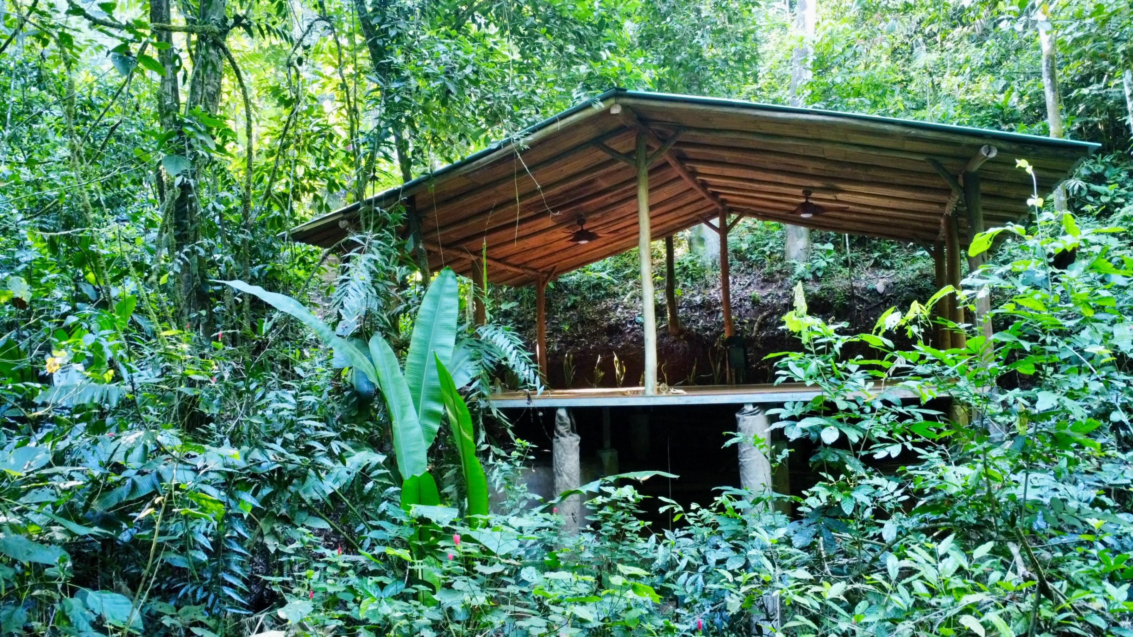 Turnkey Jungle Retreat Center with Private House