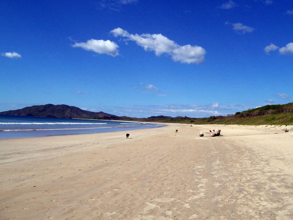 Halfway Home Animal Shelter (Tamarindo)