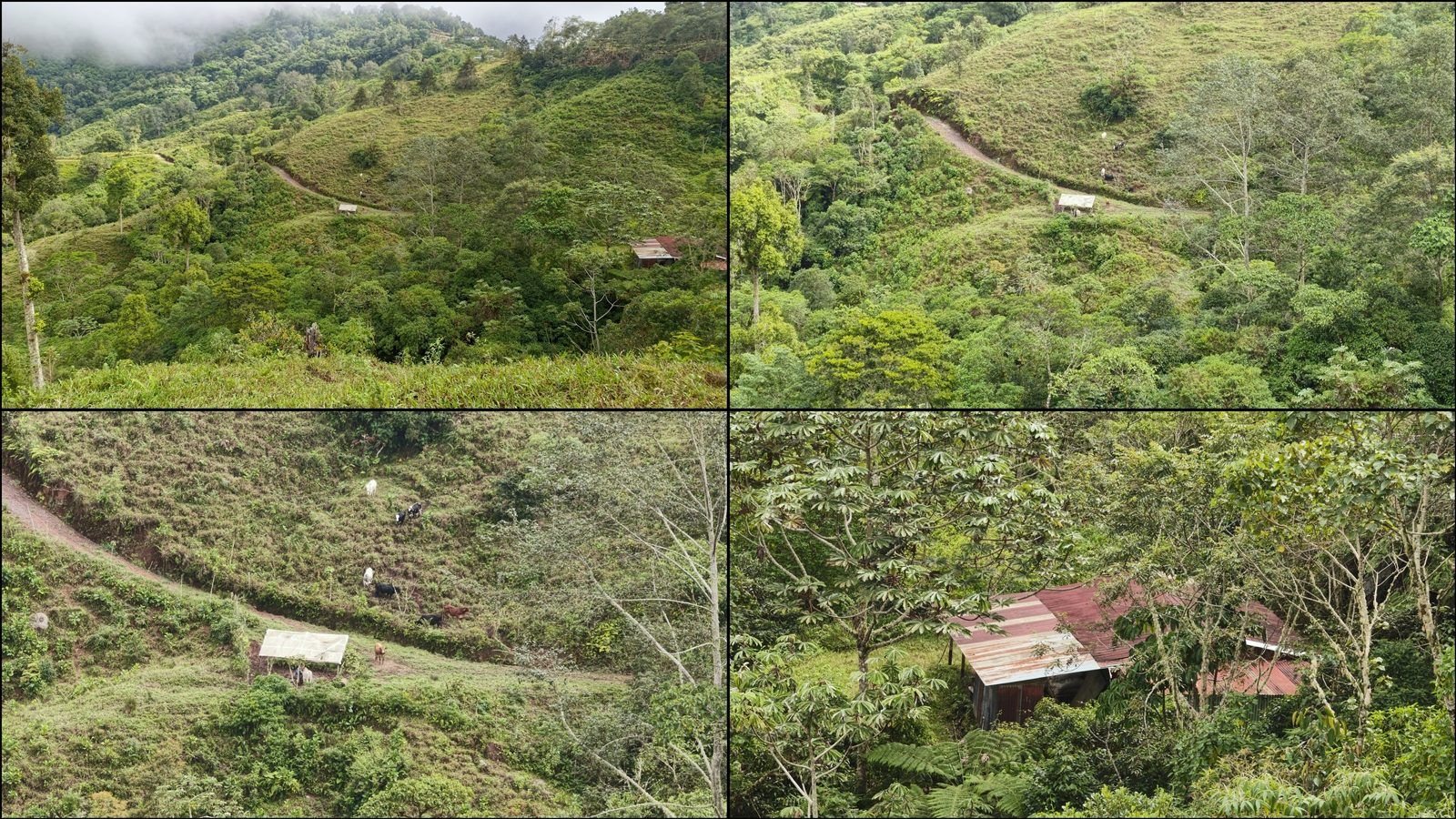 48.49-Acre Property with River & Mountain Views