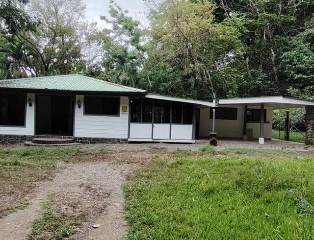 Casa Matapalo