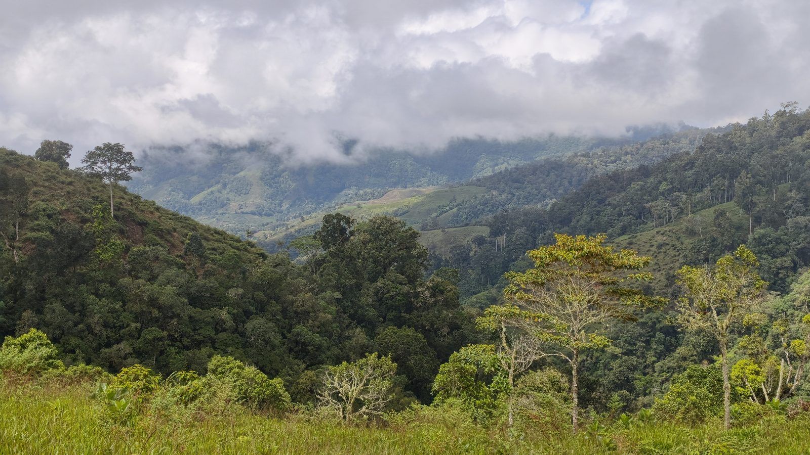 48.49-Acre Property with River & Mountain Views