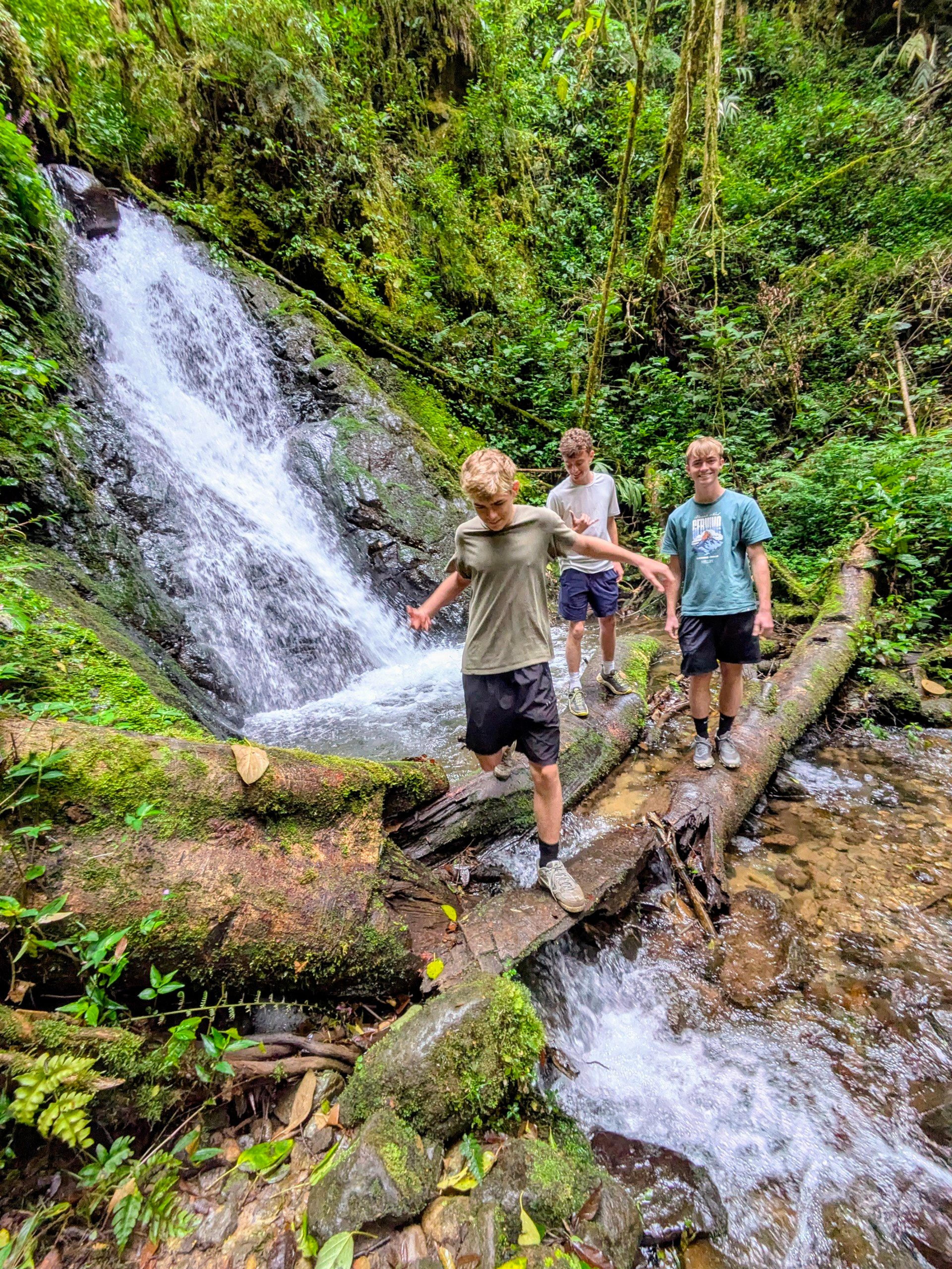 Seventh Heaven: Jungle & Sea