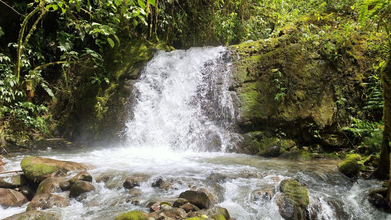 48.49-Acre Property with River & Mountain Views