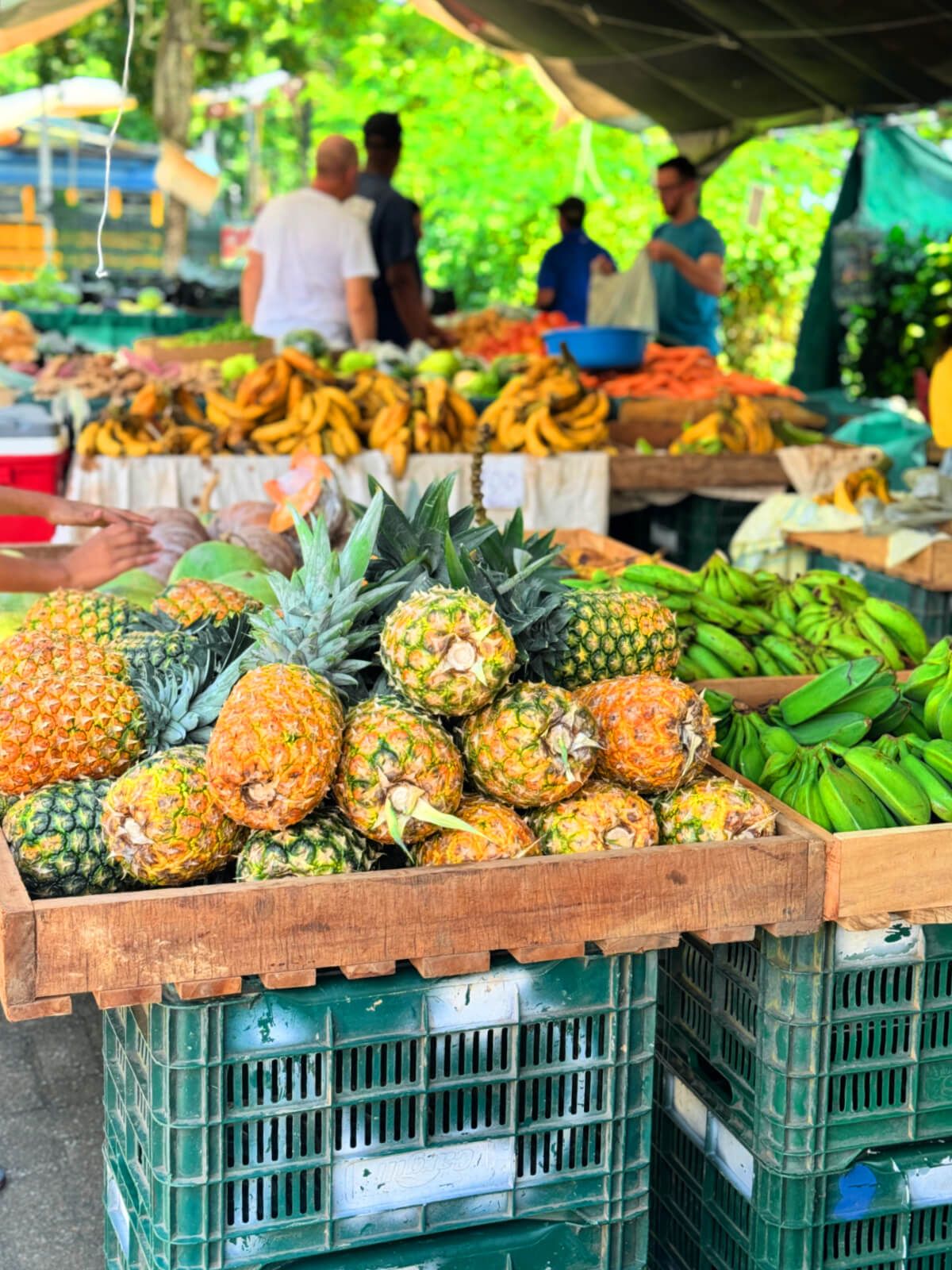 Farmers market in Quepos
