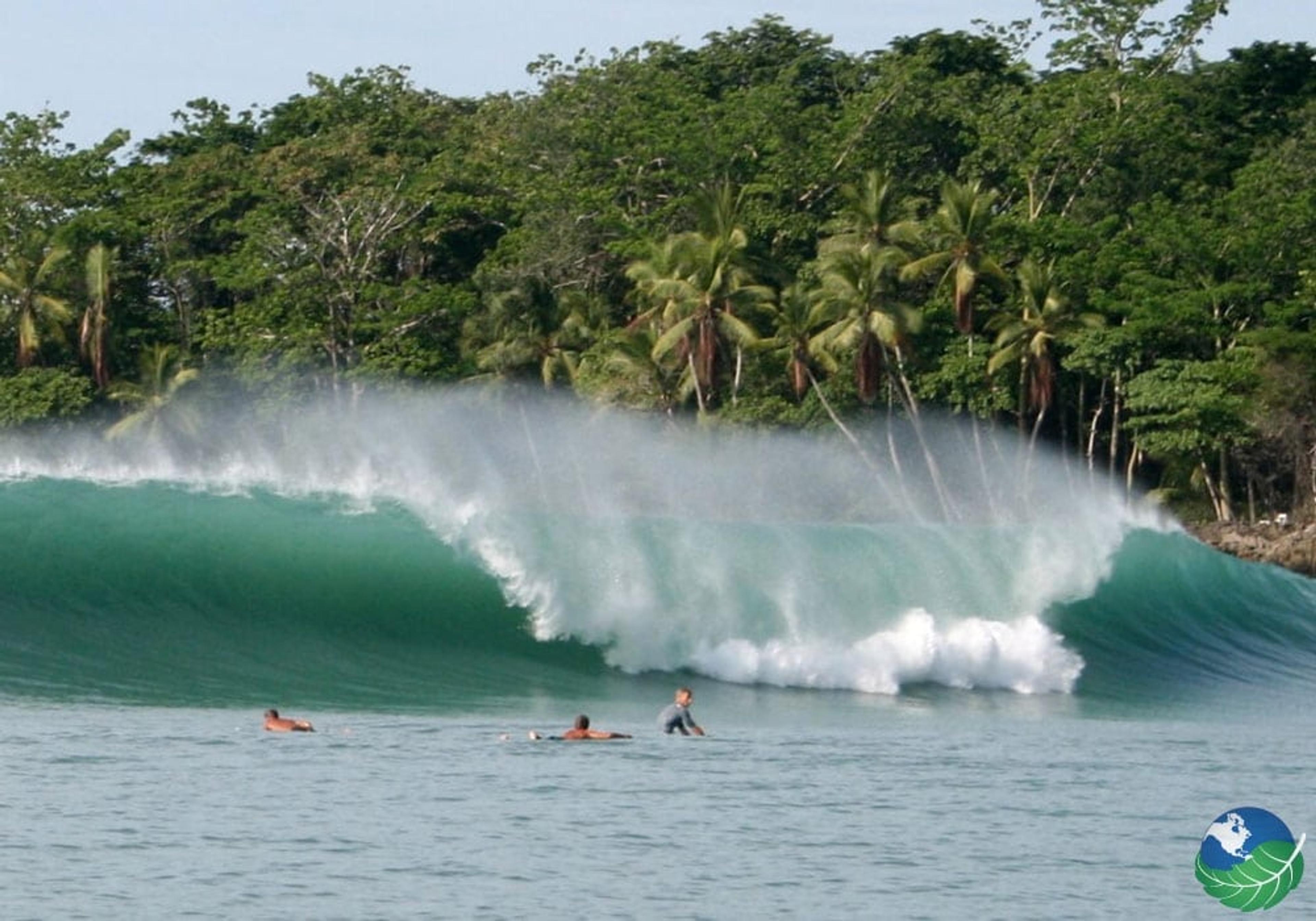 Dominical surfing
