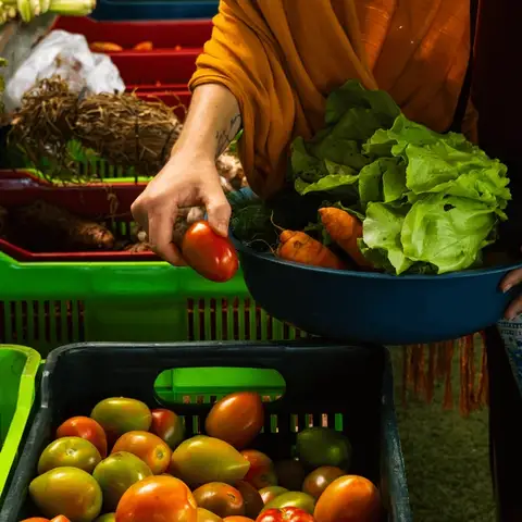 From Surf to Soil: Inside Costa Rica’s Eco-Living Movement (Lifestyle / Sustainability)