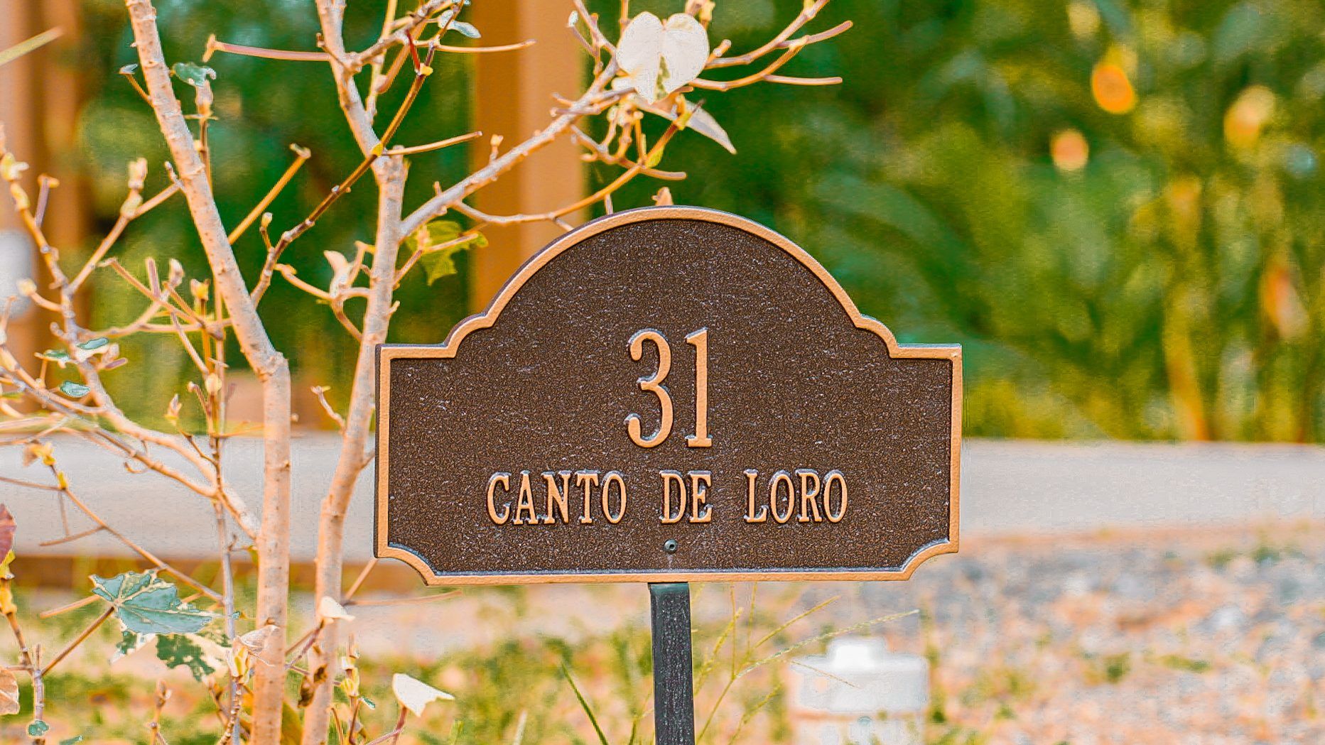 Casa Cantos de Loro - Chontale