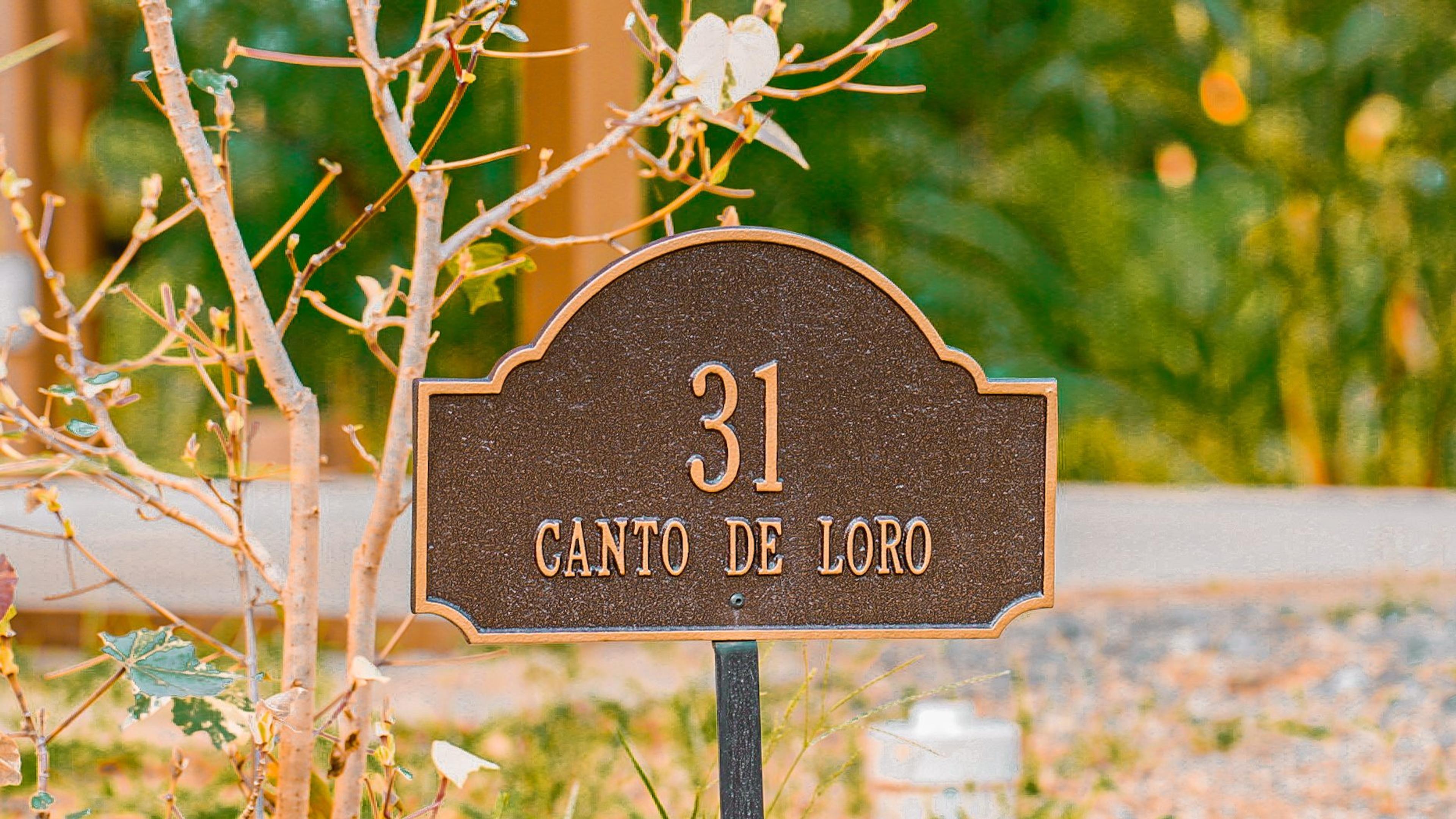 Casa Cantos de Loro - Chontale
