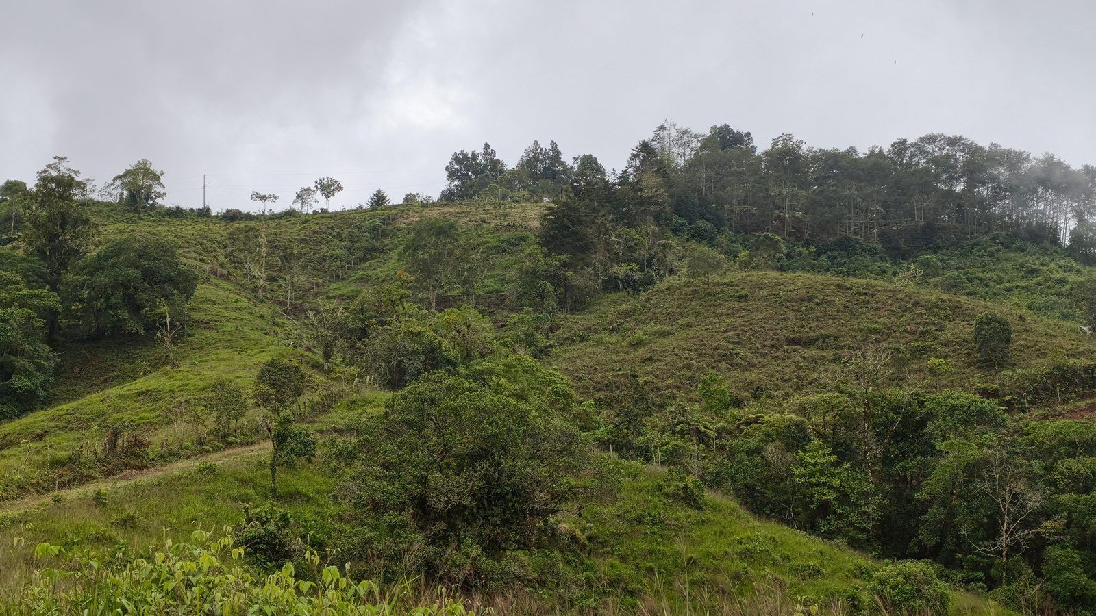 48.49-Acre Property with River & Mountain Views