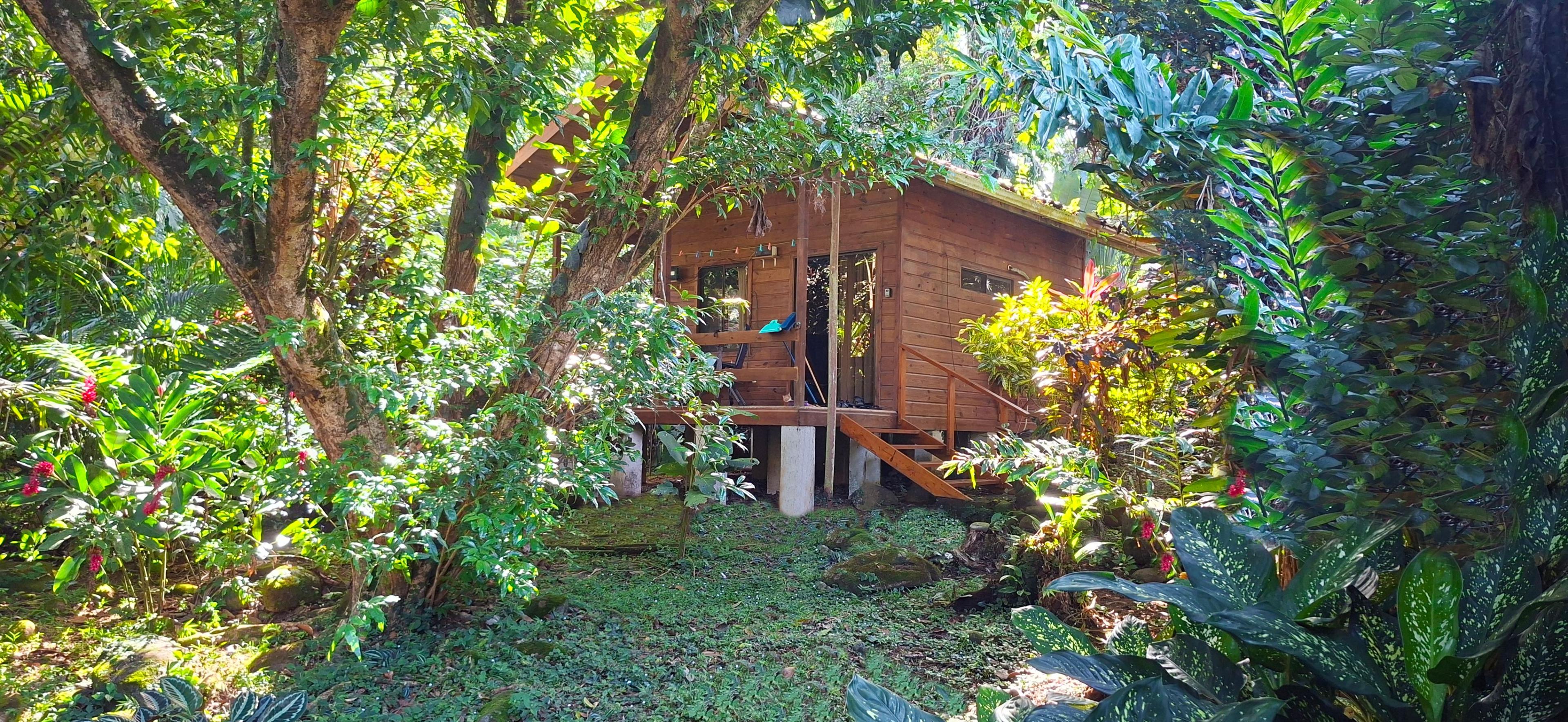 Studio Cabina Aracari