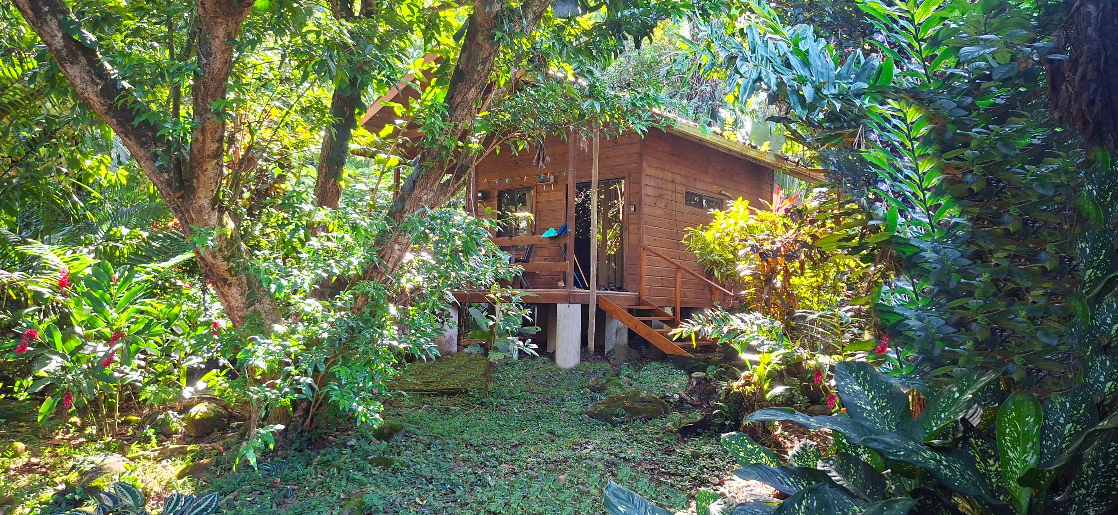 Studio Cabina Aracari
