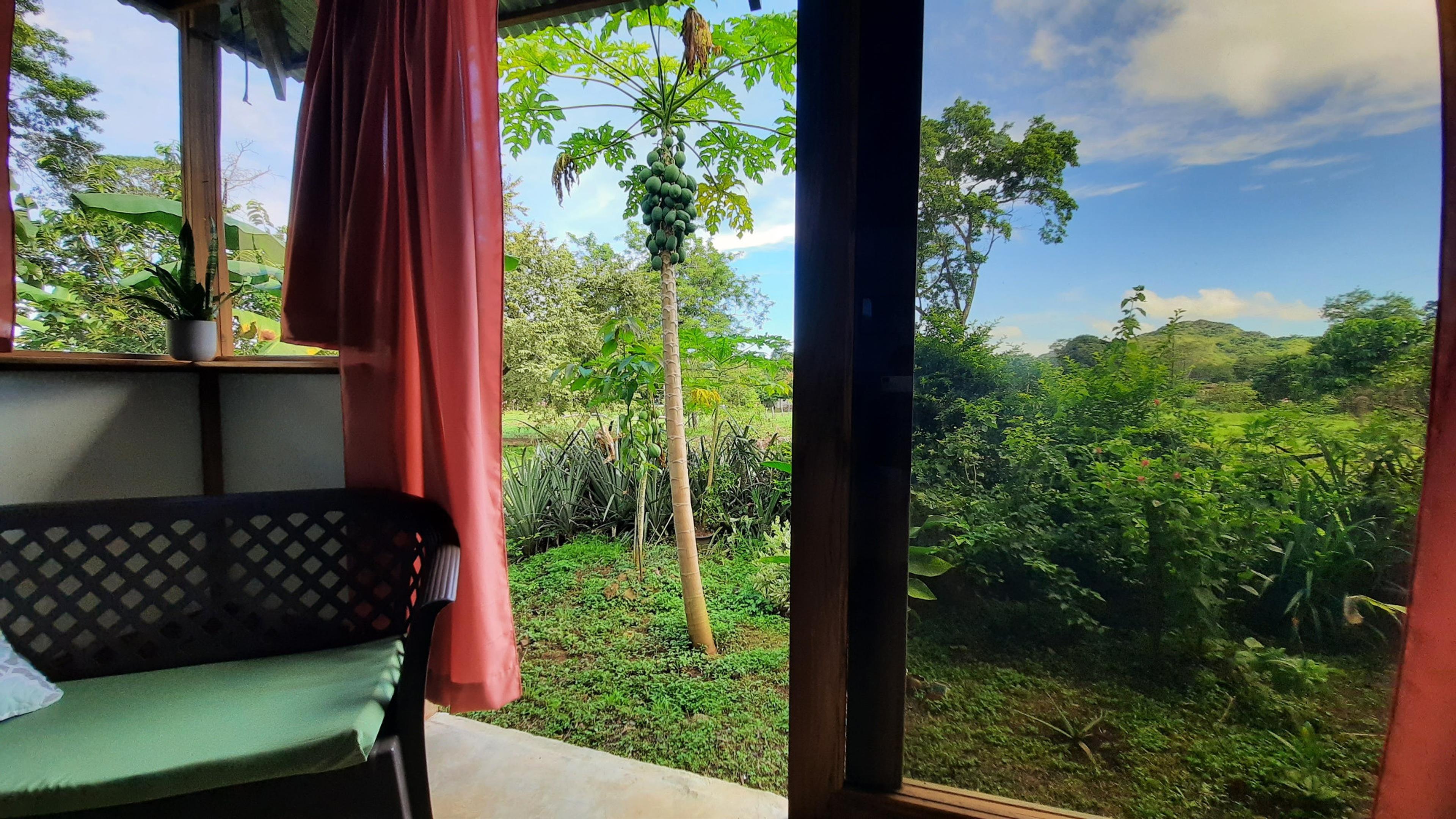 Casa Laurel