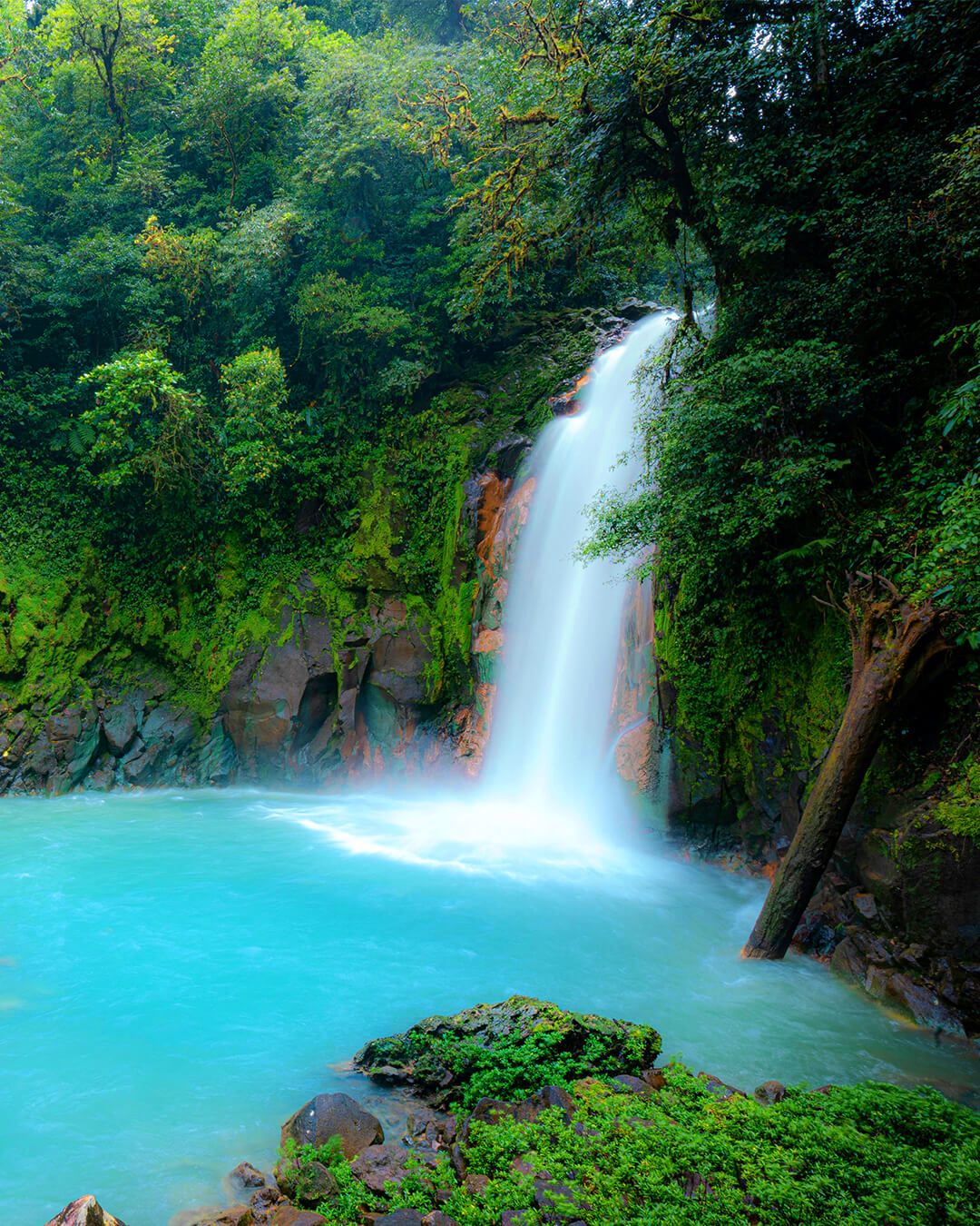 Río Celeste (day trip)