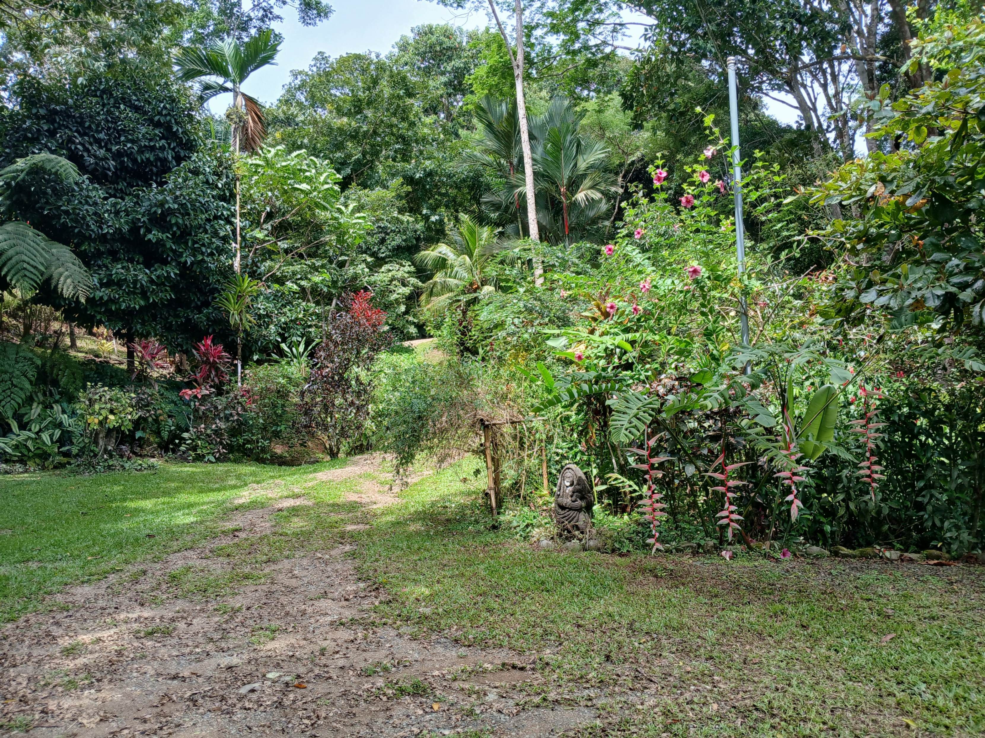 Casa Canela,  Wonderful home and Garden