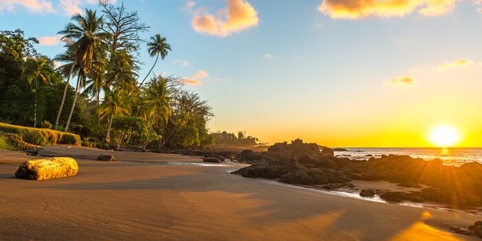 Digital Nomad Life in Nosara: Surf, Work, Thrive