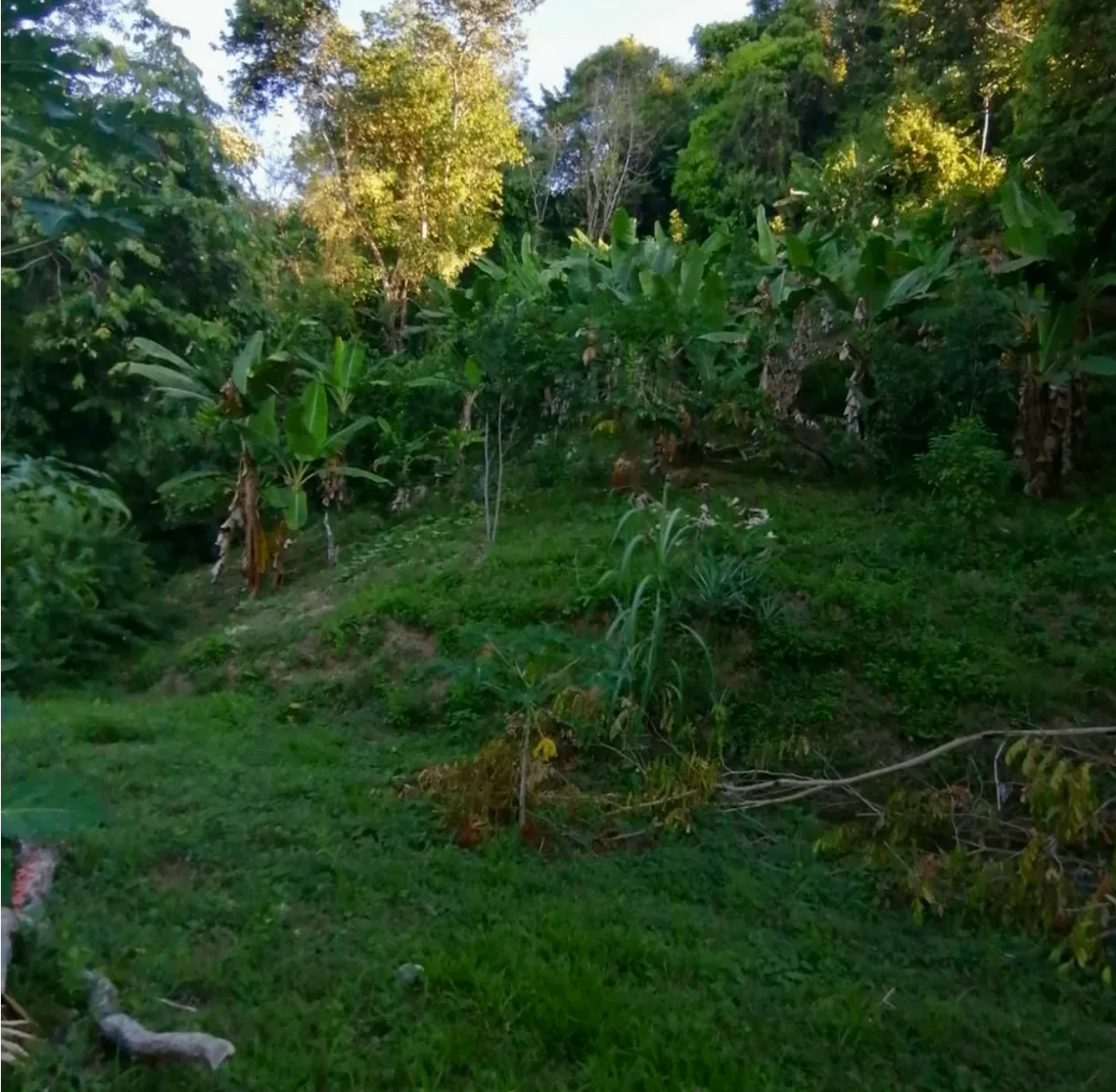 Stunning Ocean View Lot In Playa Hermosa