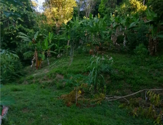 Stunning Ocean View Lot In Playa Hermosa