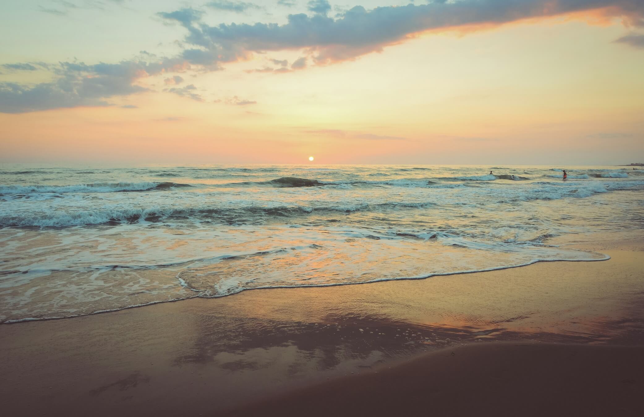 Local Beach Cleanups