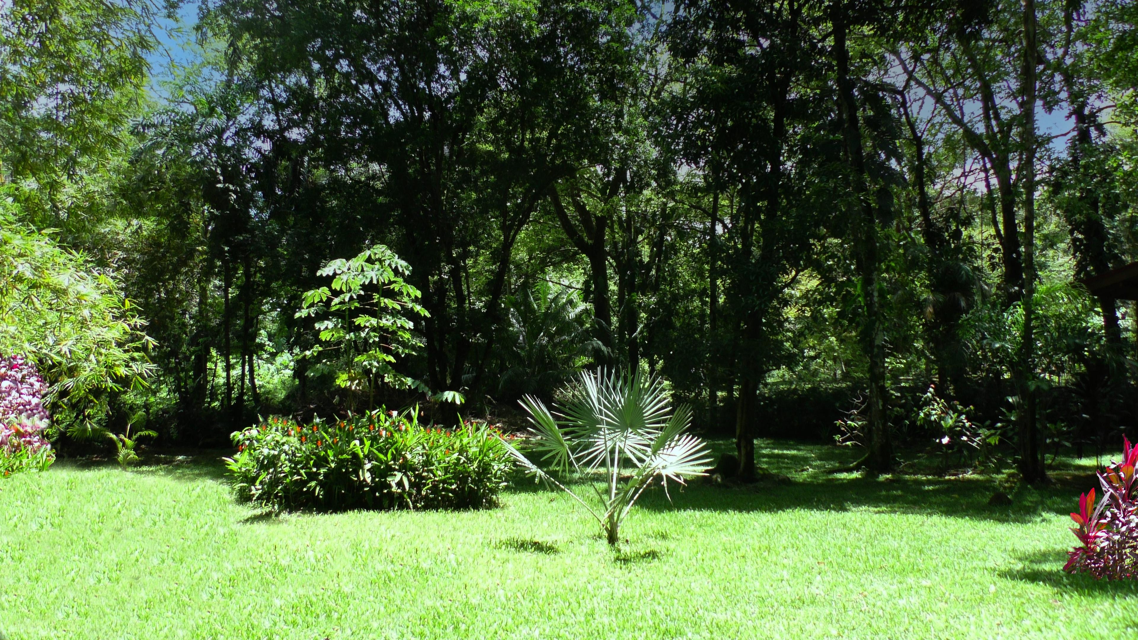 Cabina Mariposa