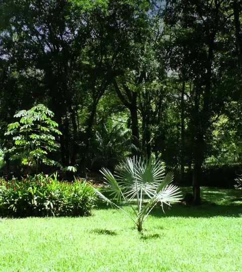Cabina Mariposa