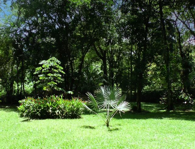 Cabina Mariposa