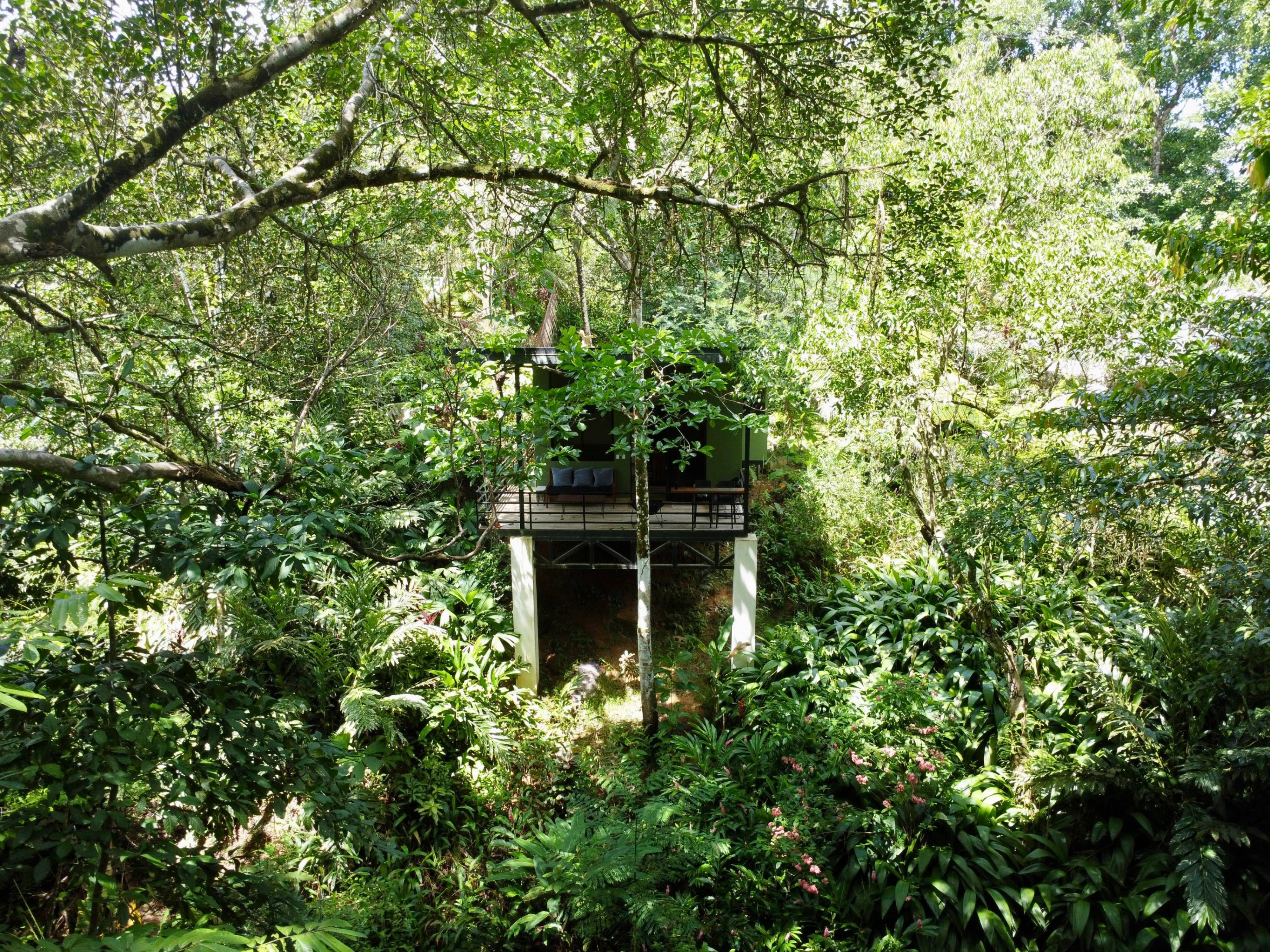 Bungalow Jungle Papagayo 