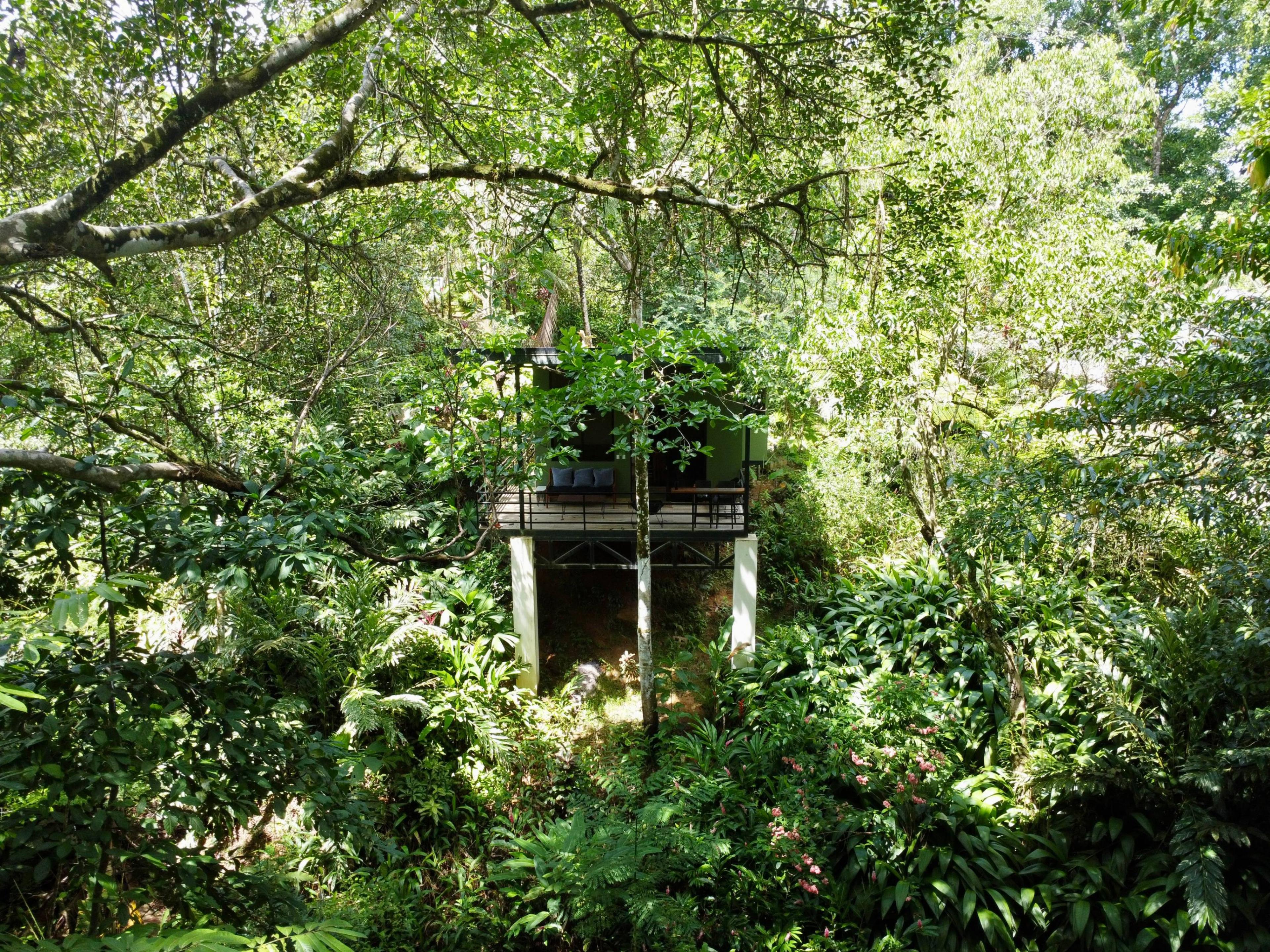 Bungalow Jungle Papagayo 