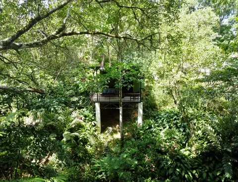 Bungalow Jungle Papagayo