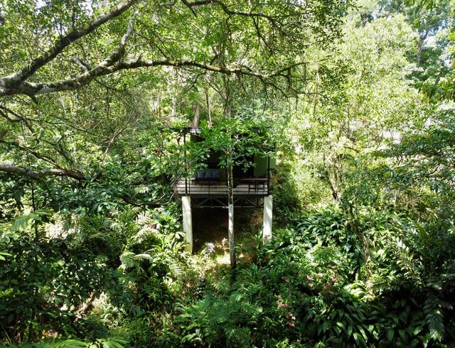 Bungalow Jungle Papagayo