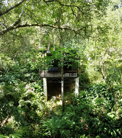 Bungalow Jungle Papagayo