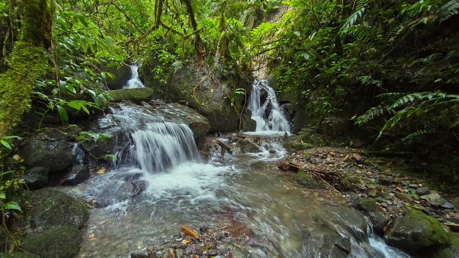 48.49-Acre Property with River & Mountain Views