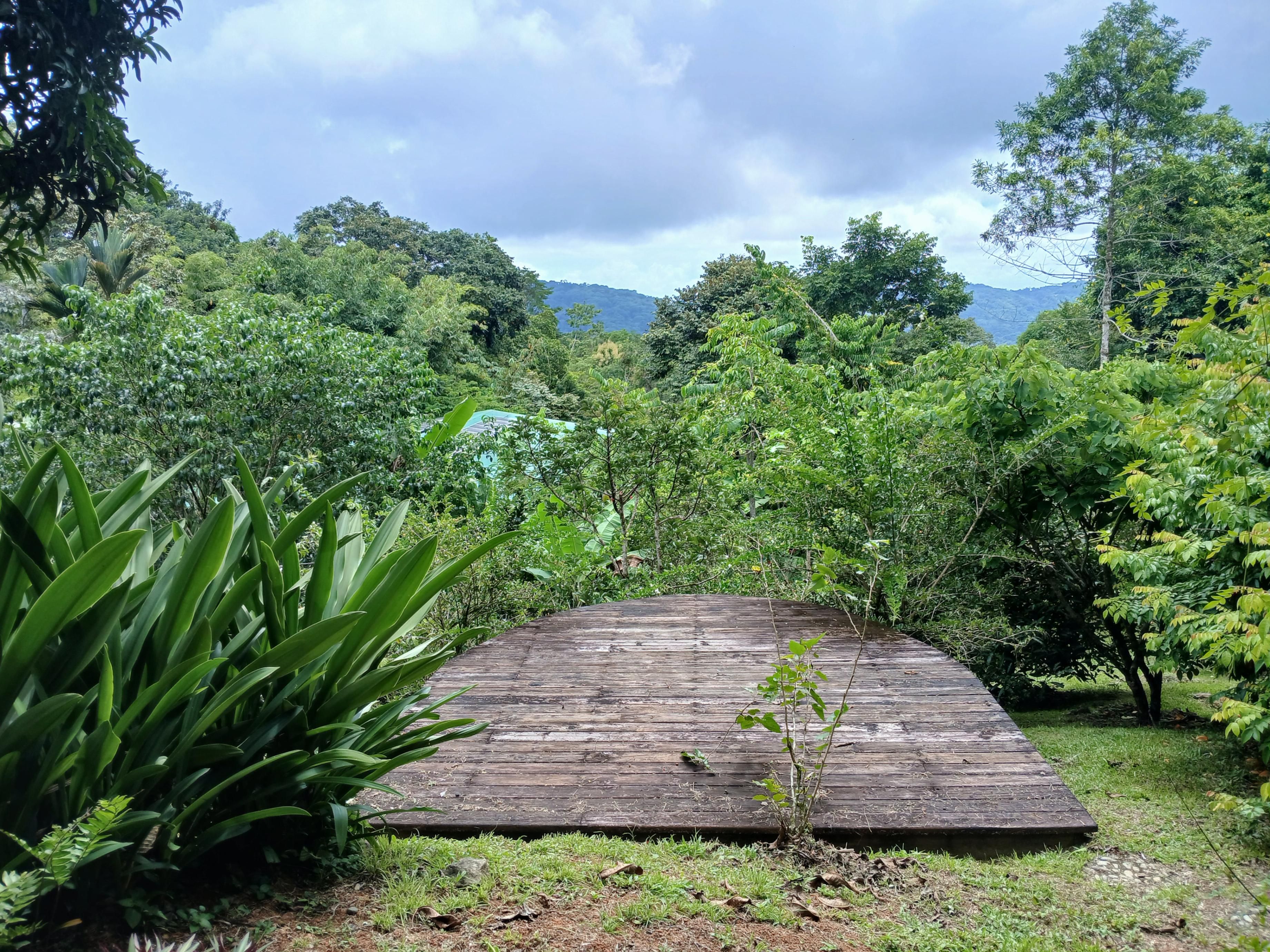 Casa Canela,  Wonderful home and Garden