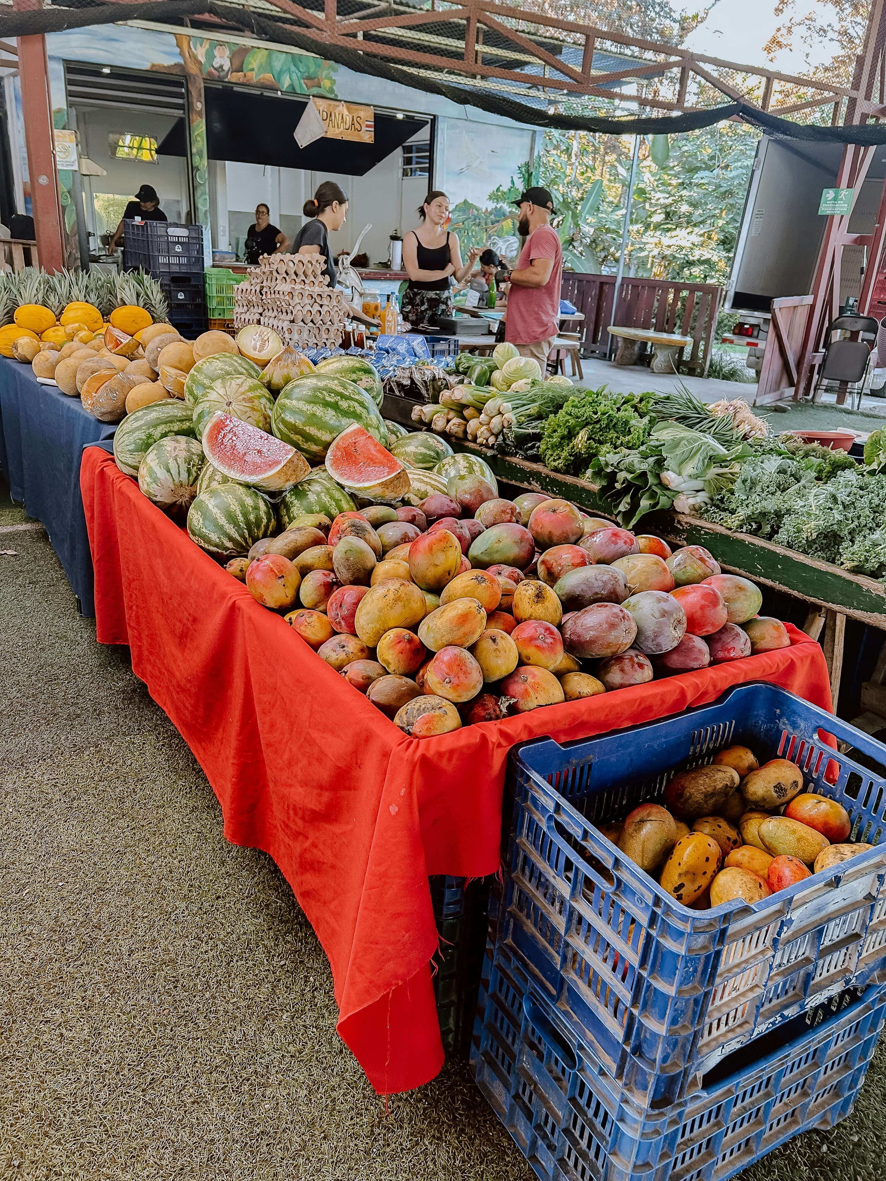 Weekly Farmer’s Market in Uvita