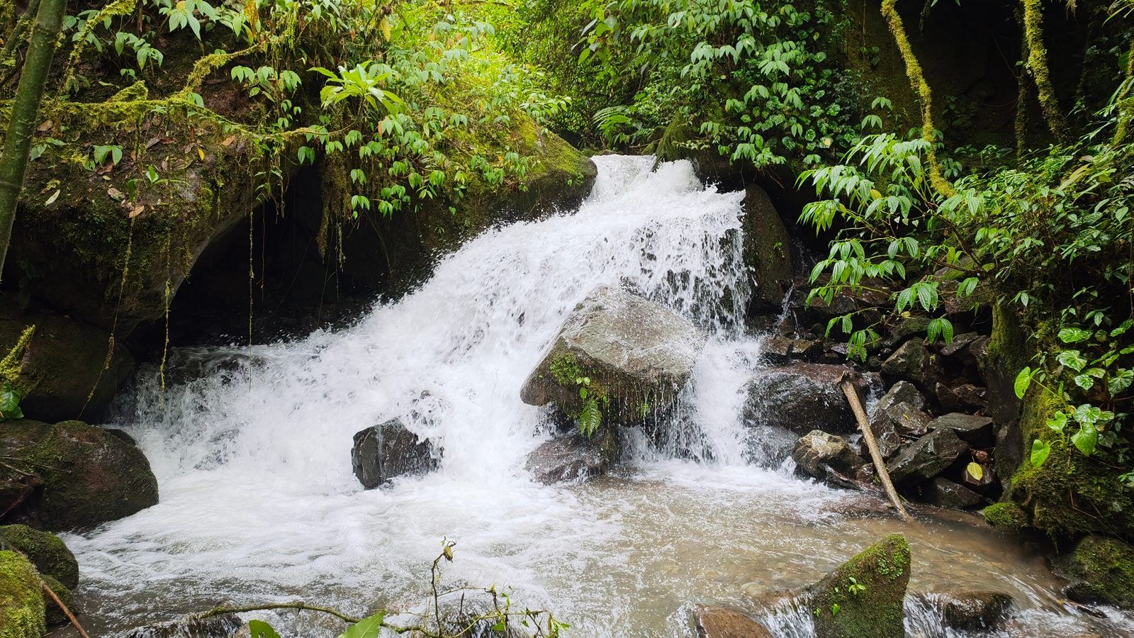 48.49-Acre Property with River & Mountain Views